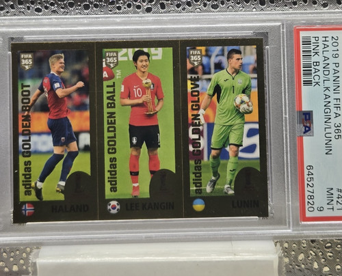 2020 panini fifa 365 - fifa,