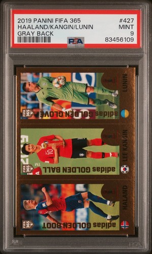 Haaland kagin lunin 427 - haaland/kagin/lunin, #427