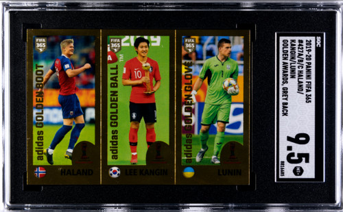 2019 panini fifa - fifa, 365