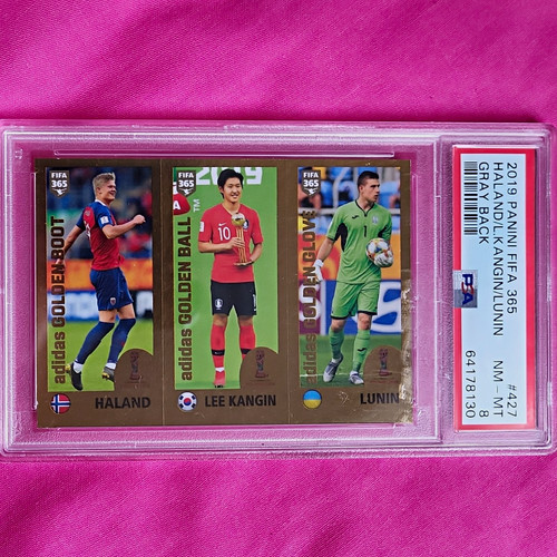 Panini 2019 fifa - panini,