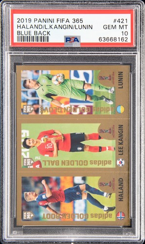 Panini fifa 365 2019 blue - panini,