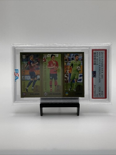 Panini 2019 fifa 365 - panini,