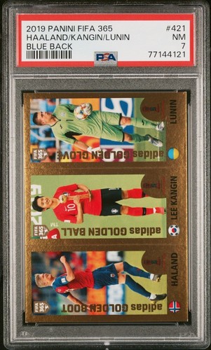Panini fifa 365 - fifa, 2019