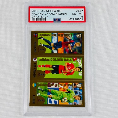 Panini fifa 365 - panini,