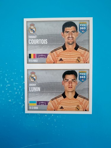 Figurina calciatori panini - figurina,