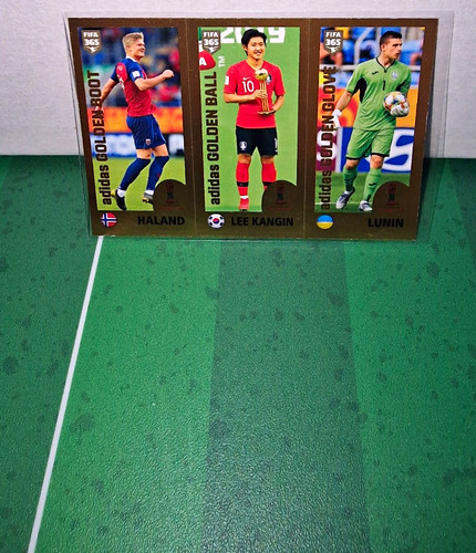 Panini fifa 365 2020 - panini,