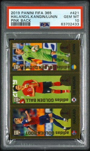 Panini fifa 365 2019 erling - fifa,
