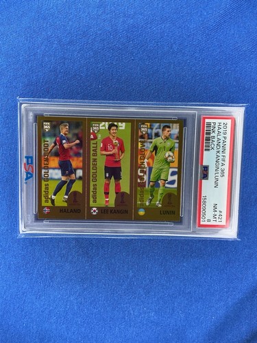 Panini fifa 365 - fifa,