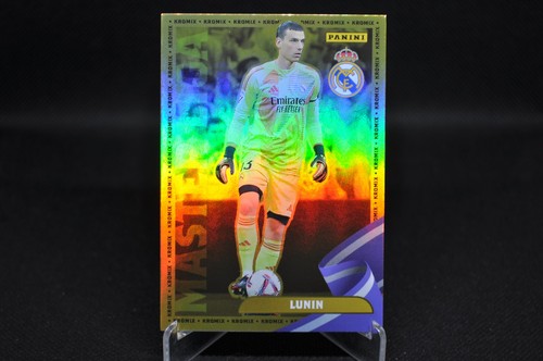Lunin 2024 panini - panini, club